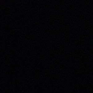 Meet your Posher, Shelby